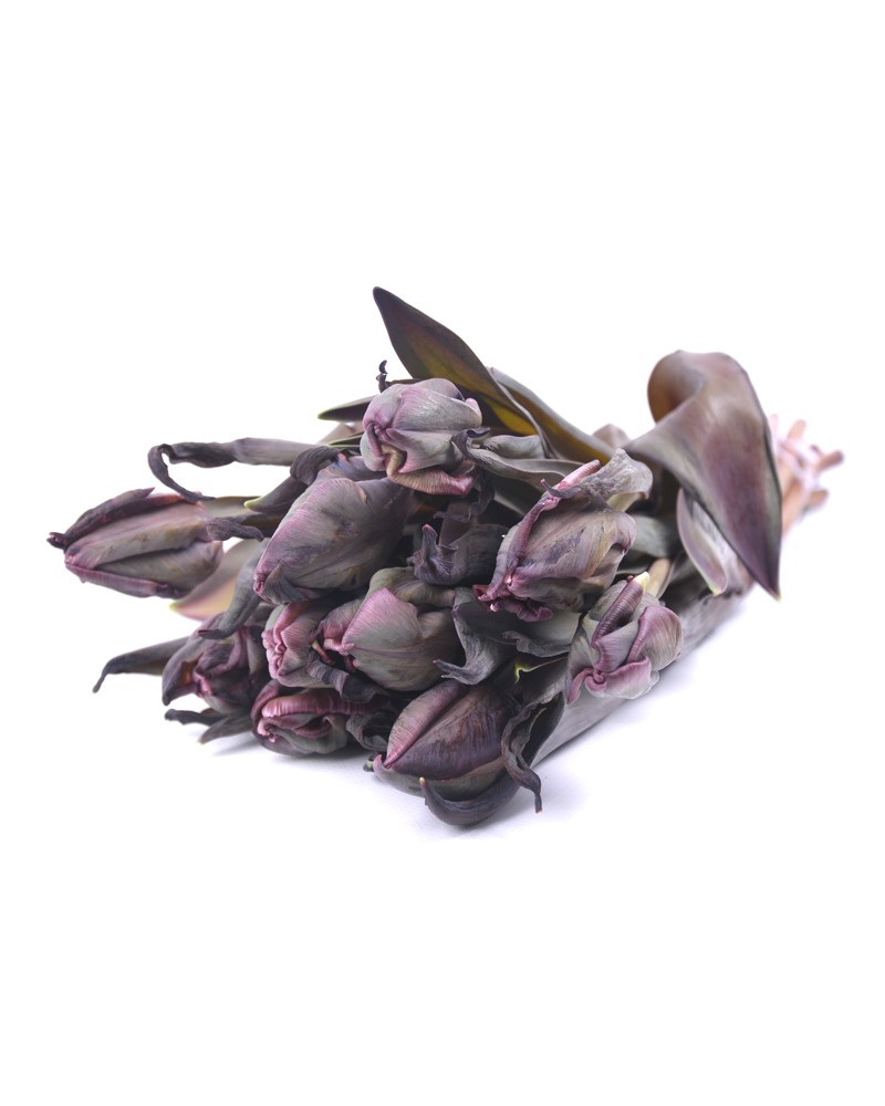 [6-29801] 