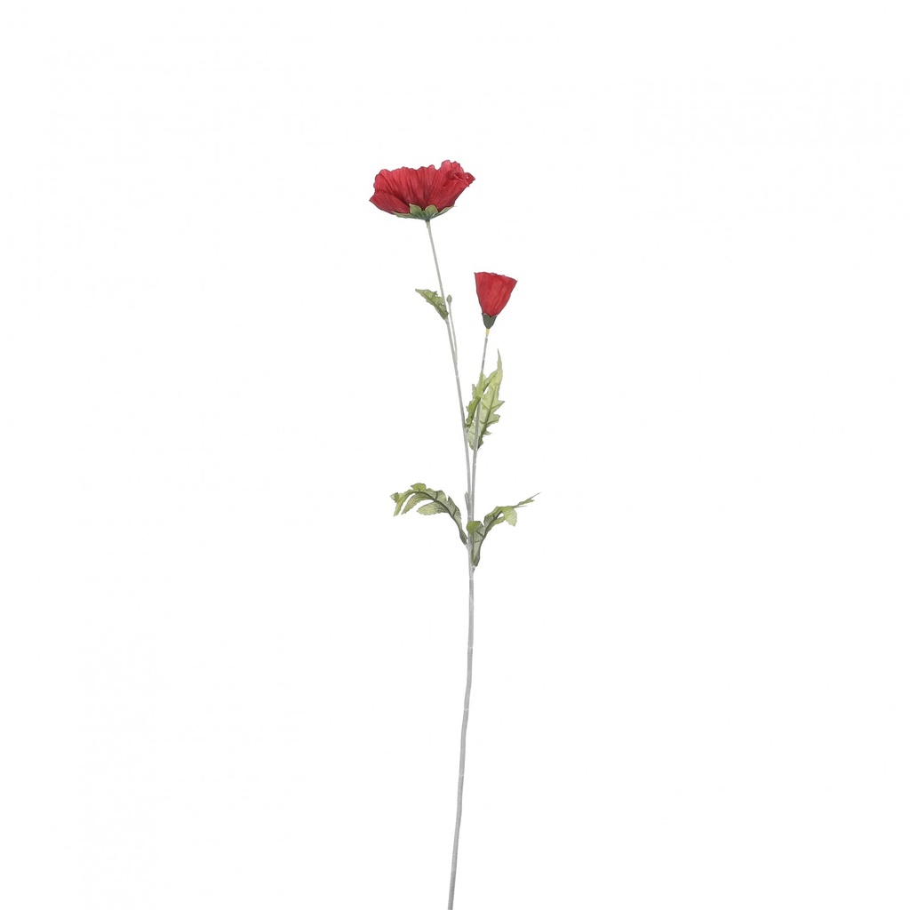 [6-31614] 