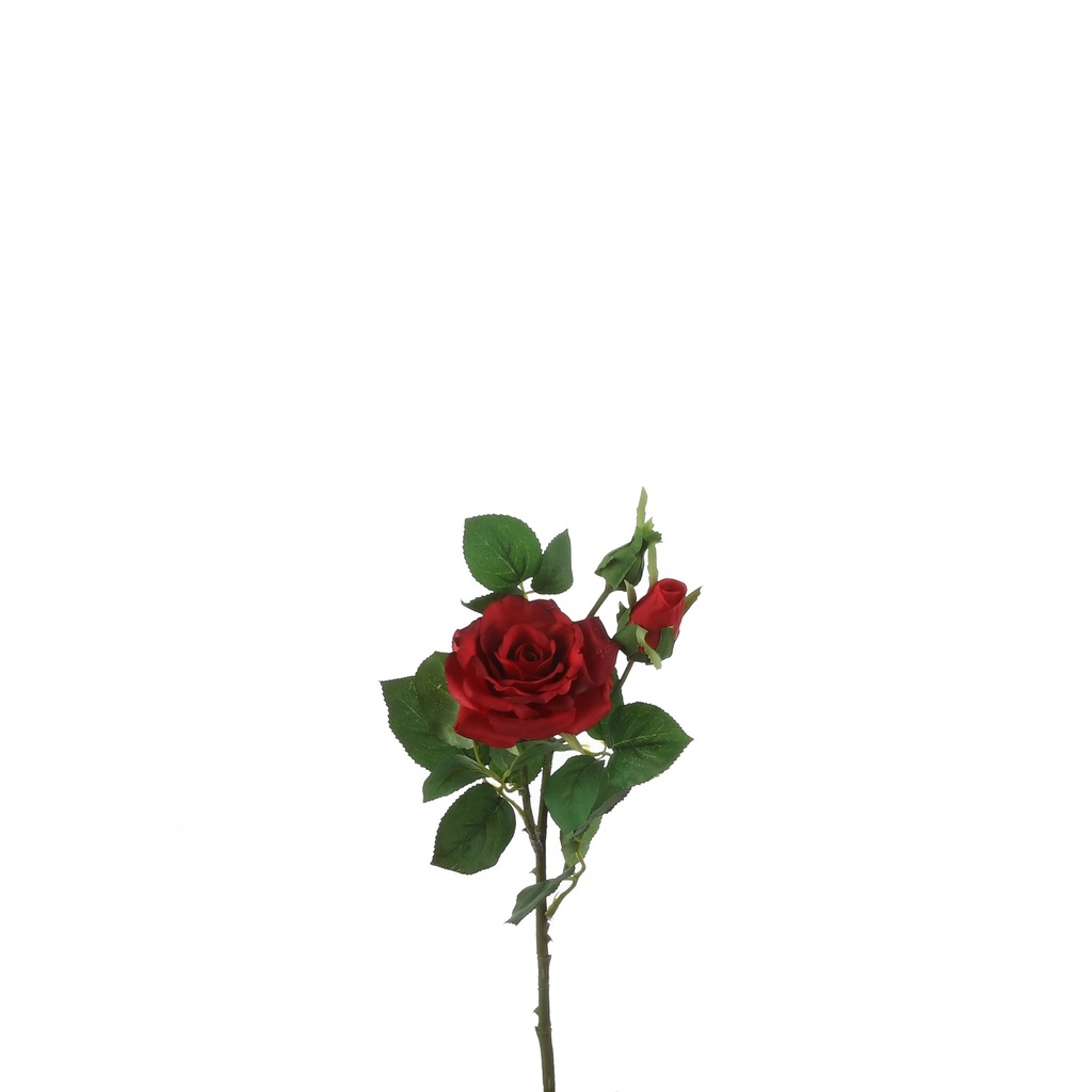 [6-32577] 