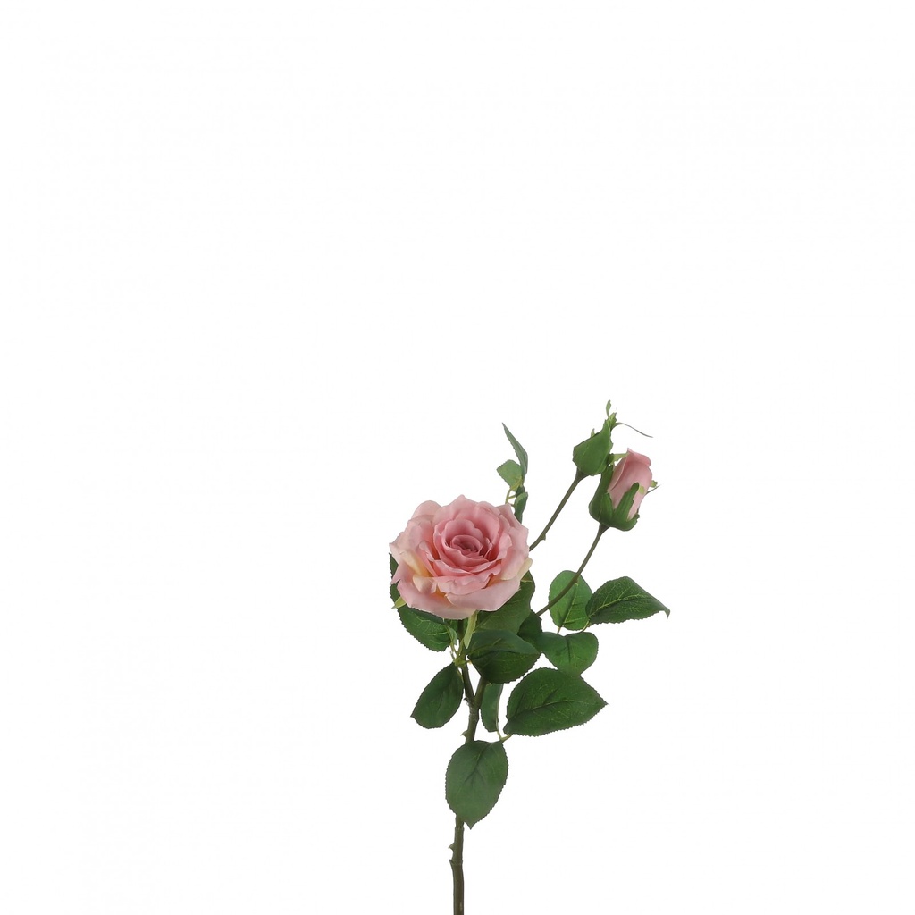 [6-32578] 