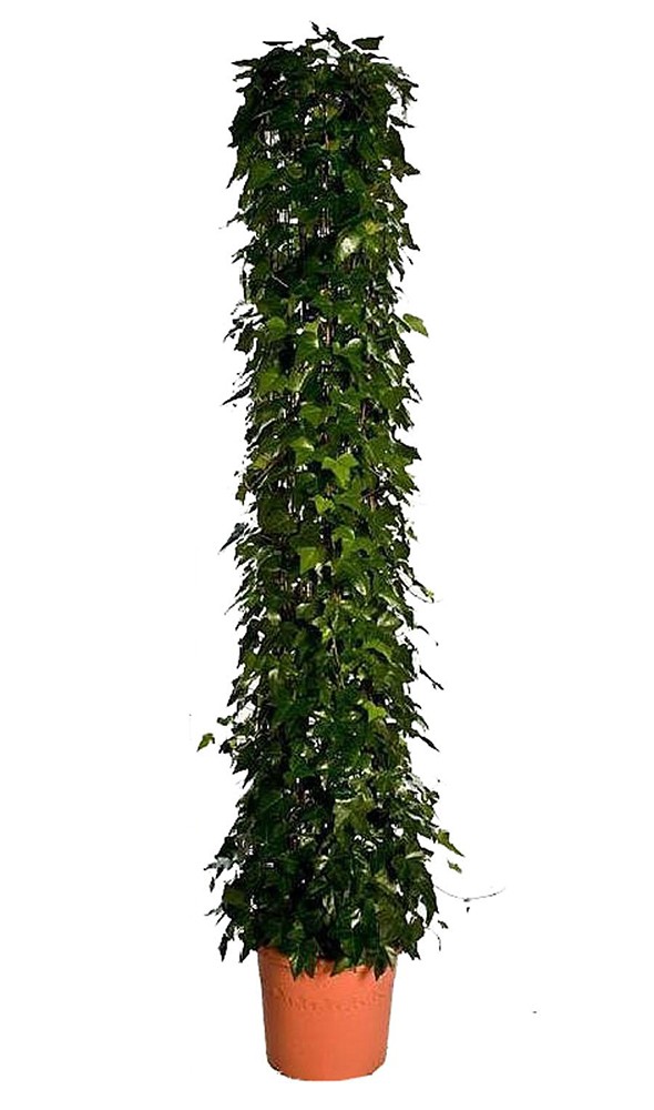 [412516] 