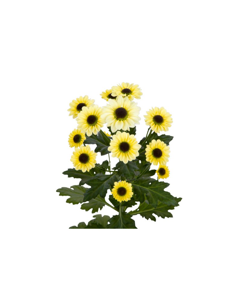 [6-29270] 