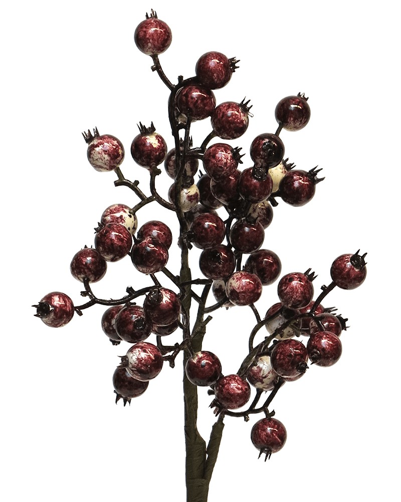 [6-34798] 