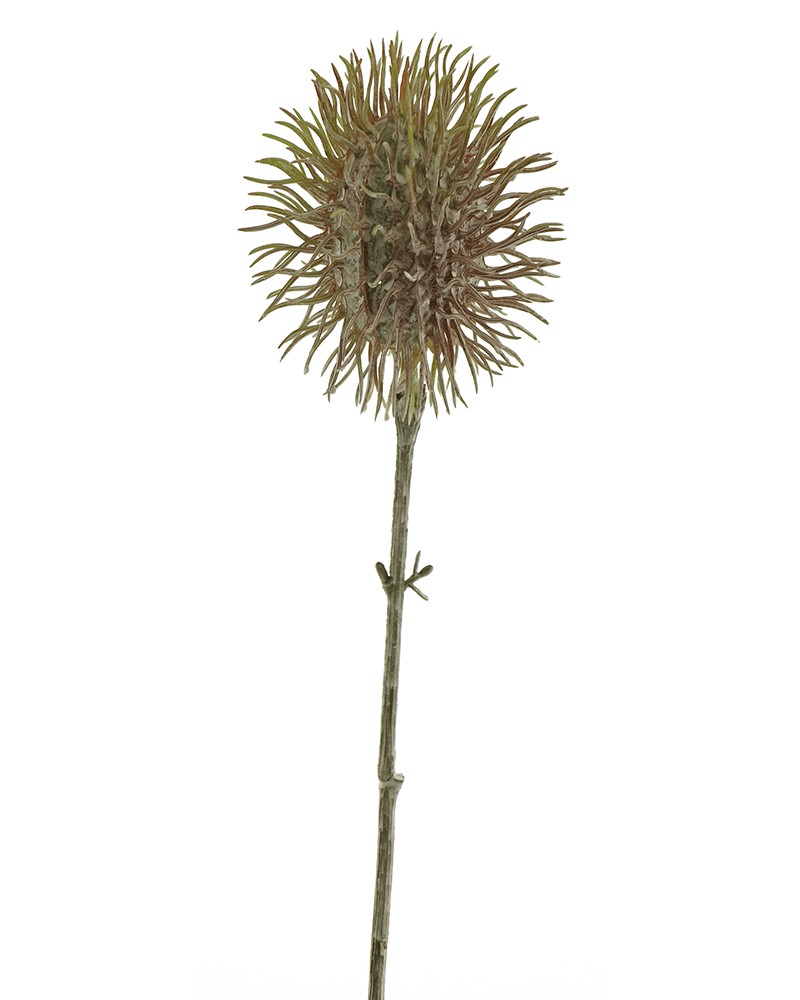 [6-34821] 