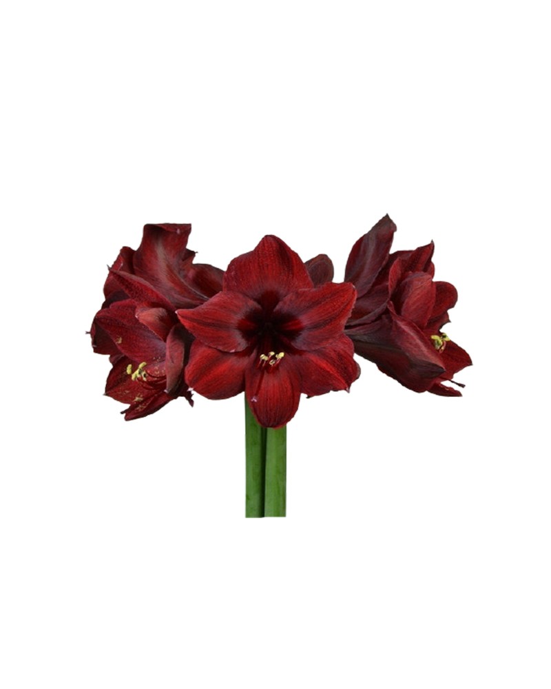 [6-29630] 