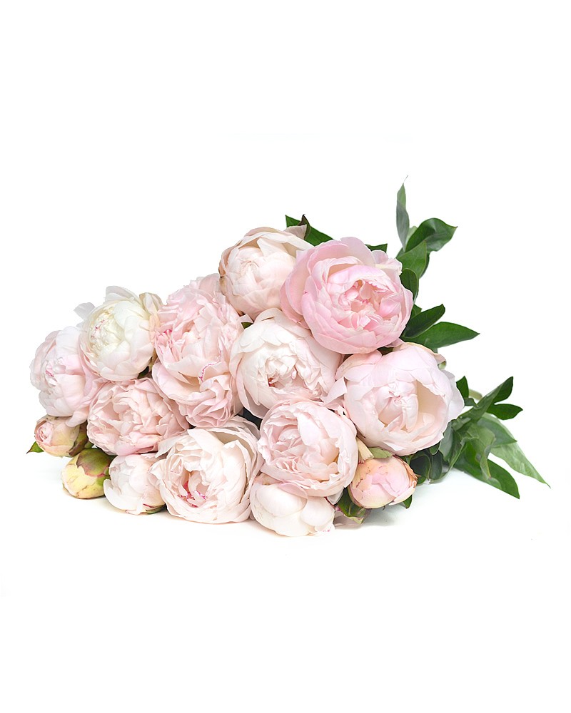 [6-32667] 