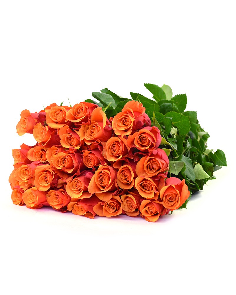 [6-36390] 
