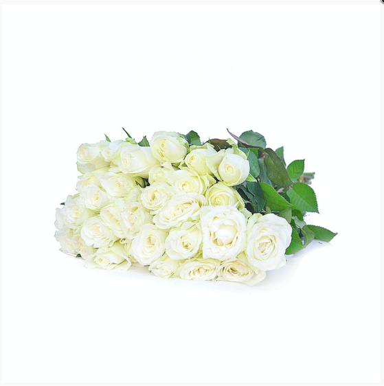 [6-36648] 