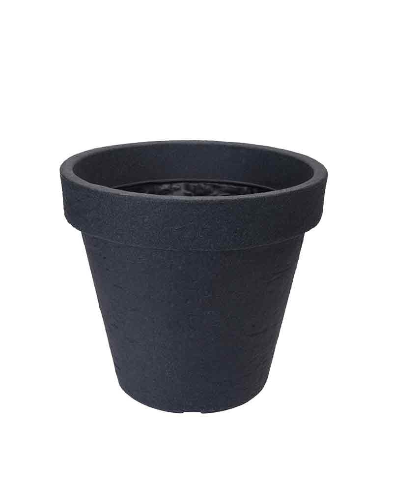 [6-38665] 