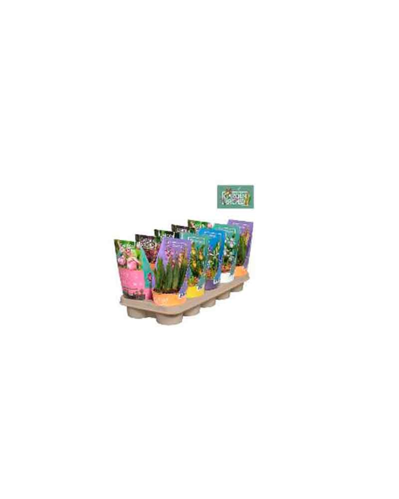 [6-38792] 