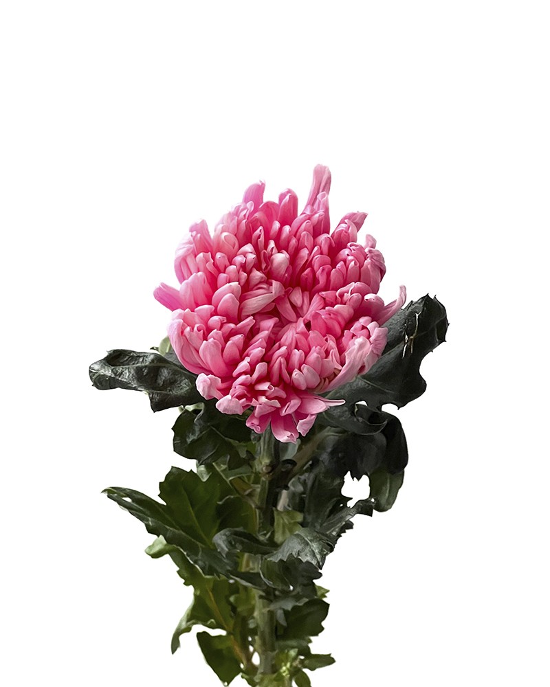 [6-41972] 