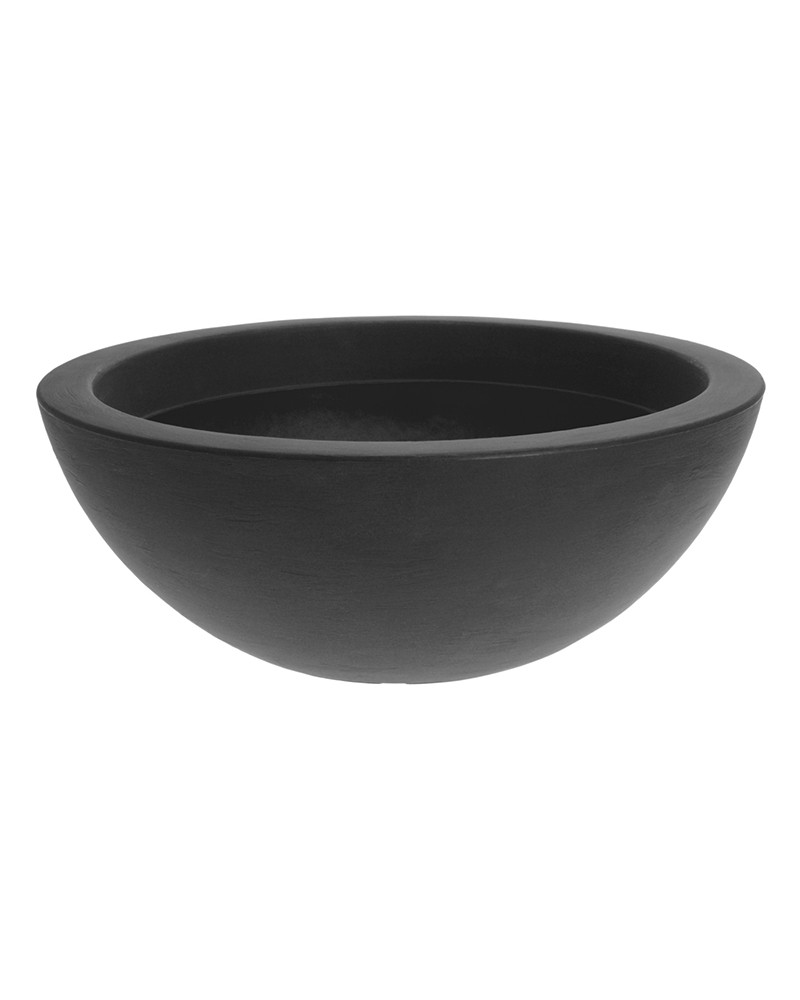 [6-43681] 