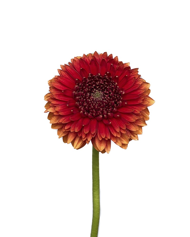 [6-29071] 