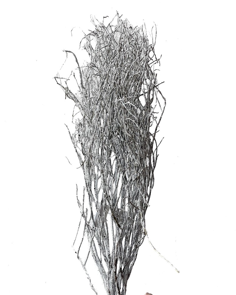[6-42173] 