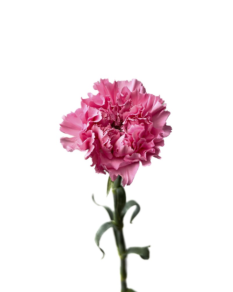 [6-36356] 