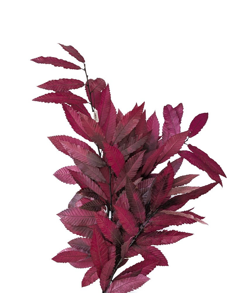 [6-46844] 
