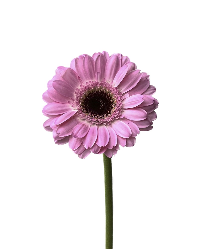 [6-47880] 