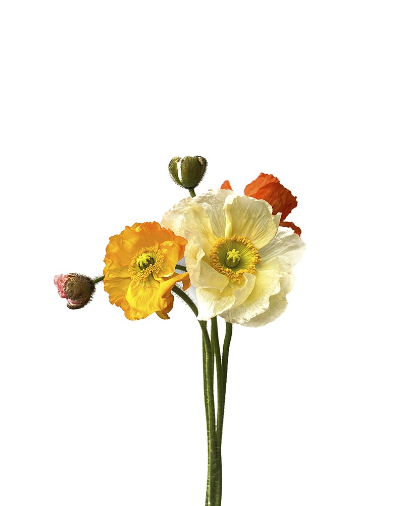 [6-32366] 