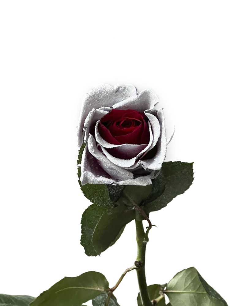 [6-47820] 