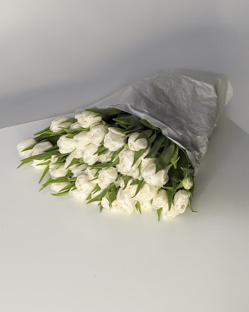 [6-48753white] 