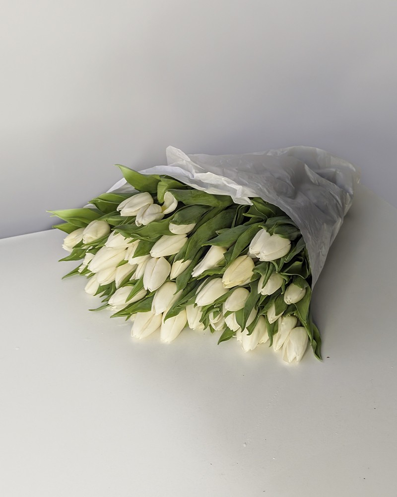 [957481white] 
