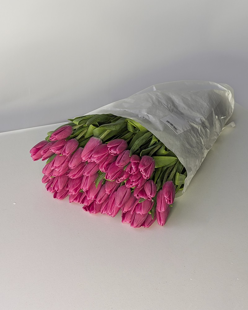 [957481fuchsia] 