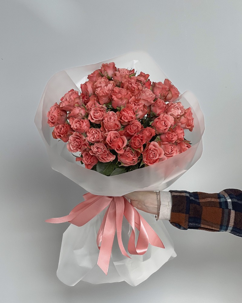 [6-49047coral] 