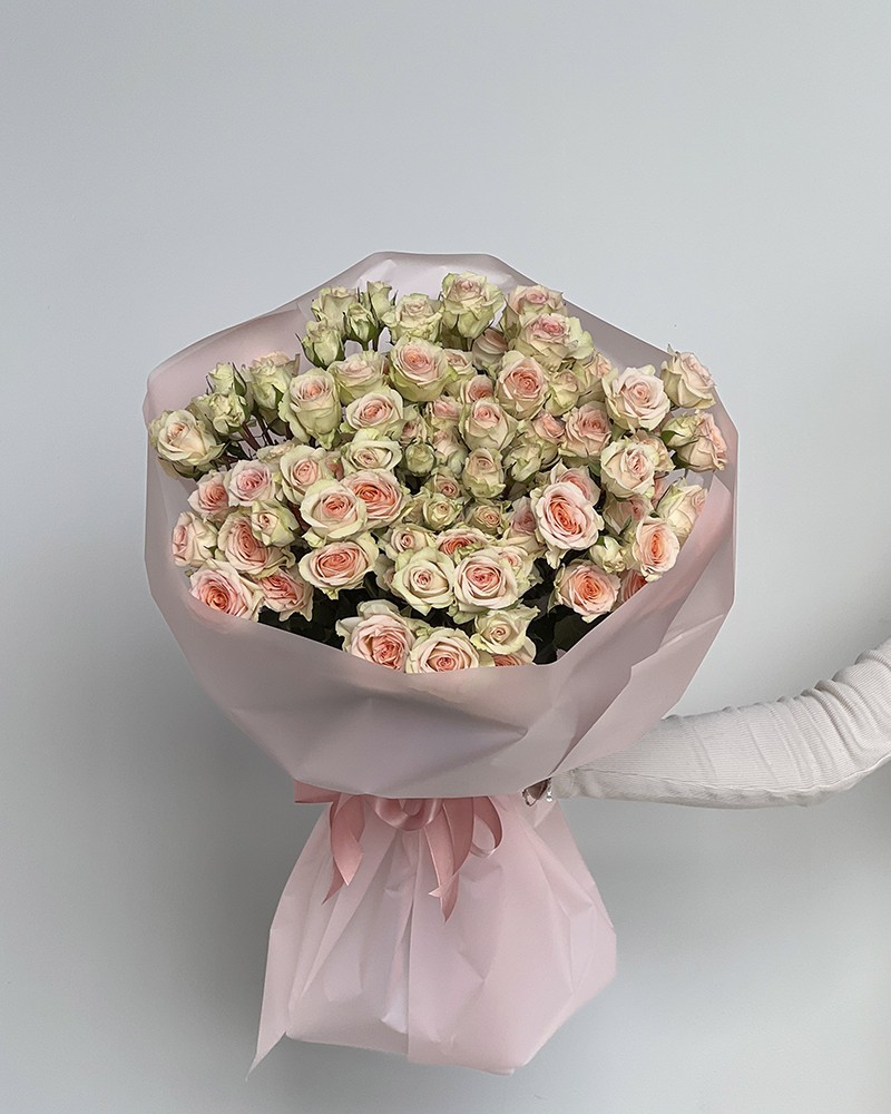 [6-49047cream] 