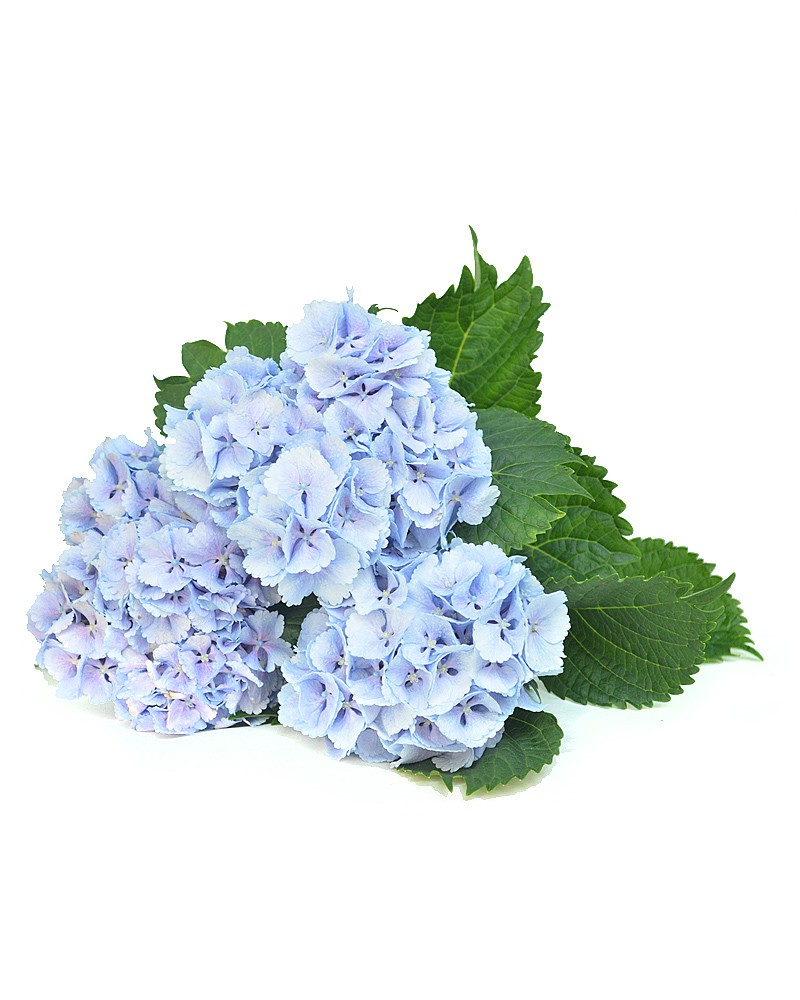 [6-9381] 