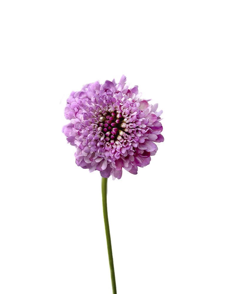 [6-2691] 
