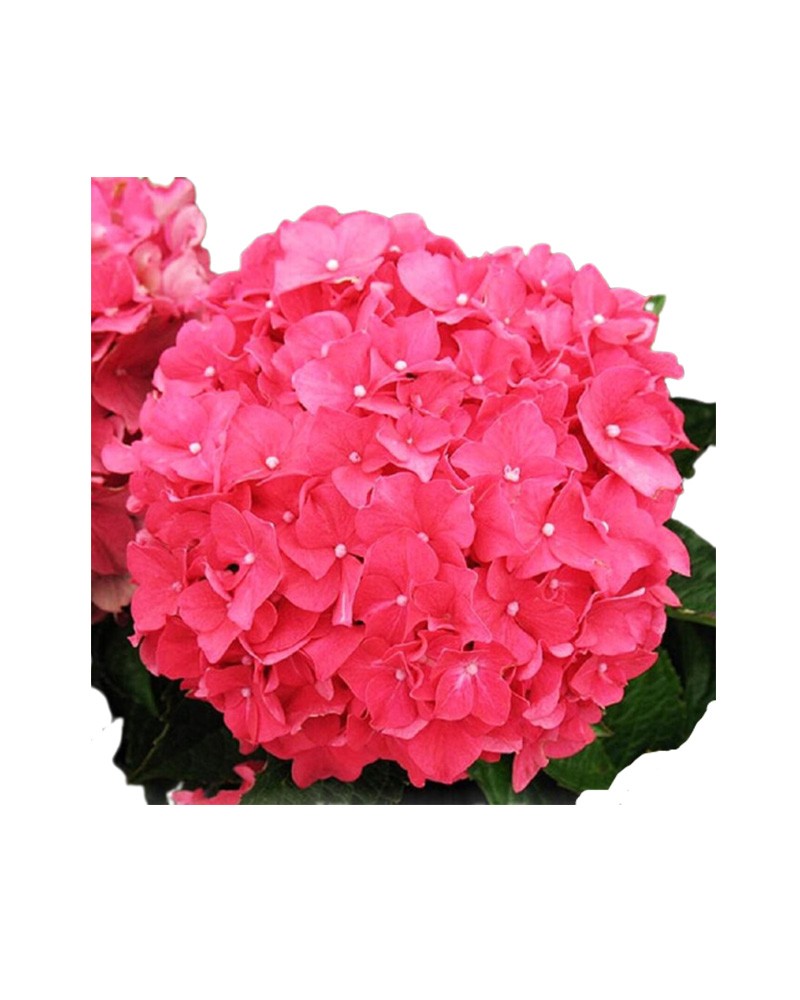 [6-3172] 