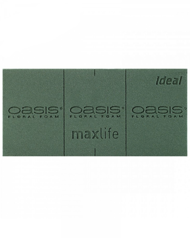 [951975] 