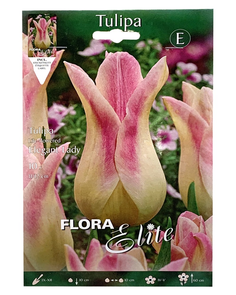 [5-3968] 