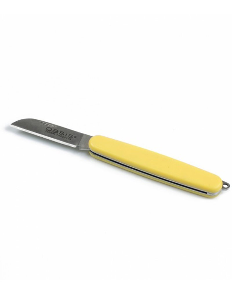 [915918] 